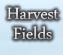 The Harvest Fields: Mission Work
