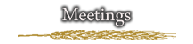 Meetings